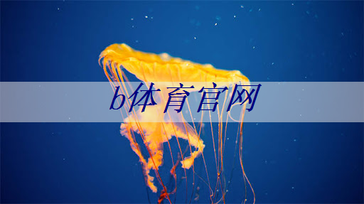 b体育官网：智慧商显展，连接商业智慧的纽带！