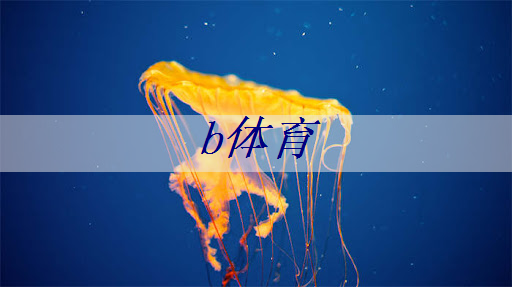 b体育官网：智慧城市监控云平台app